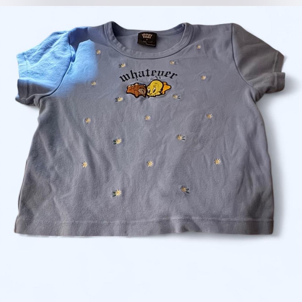 Looney Tunes X Teddy Fresh